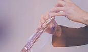 Stilleben Klarinette, Foto: © Clara Evens