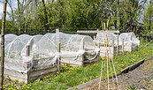 Brandenburger Landpartie im Schaugarten Greiffenberg, Foto: Andreas Stückl, Lizenz: Vern e. V.