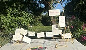 Permakultur im Unternehmen, Foto: Permakultur im Unternehmen, Lizenz: Permakultur im Unternehmen