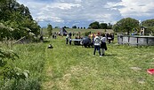 Große Wiese, Foto: Fritz Streichert, Lizenz: Fritz Streichert
