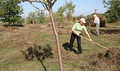 Wiesenpflege, Foto: NABU, Lizenz: NABU