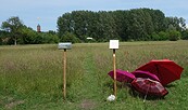 Eingang ins Herzlabyrinth, Foto: Dia Schwarzäugl, Lizenz: Dia Schwarzäugl