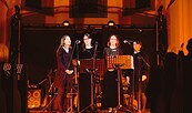 Ollidea, Foto: Anastasia Suvorov, Lizenz: Anastasia Suvorov