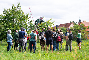 Praxisseminar „Sommerschnitt von Obstbäumen“