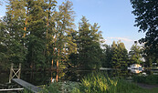 Blick auf die Havel, Foto: Elisabeth Kluge, Lizenz: Tourist-Information Zehdenick