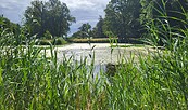 Groß Pankow, Foto: Kati Bork, Lizenz: Tourismusverband Prignitz