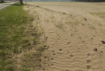 Themenabend "Zwischen Dürre und Lösung"