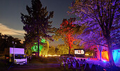 Kultursommer 2025, Open Air Kino , Foto: © DKB STIFTUNG