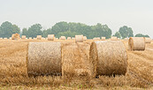 Prignitz, Foto: Markus Tiemann, Lizenz: Tourismusverband Prignitz