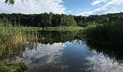 Großer Rathsburgsee, Foto: Alena Lampe