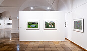 Ausstellungsansicht, Schrebergärten. Streifzüge durch einen Mikrokosmos, BLMK Frankfurt (Oder), 2025, Foto: Bernd Schönberger, Lizenz: BLMK