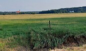 Kobbeln, Foto: Ortsbeirat, Lizenz: Ortsbeirat