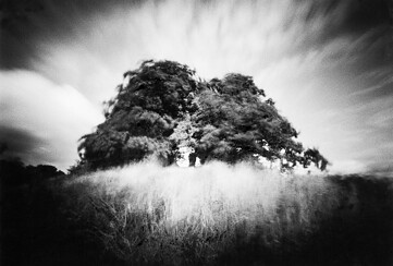 Volkmar Herre: NATUR, Fotografien aus sechs Jahrzehnten