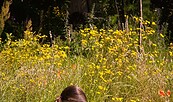 Sommerpflege im Burgpark, Foto: prignitzlliebe - Anja Möller, Lizenz: Burg Lenzen