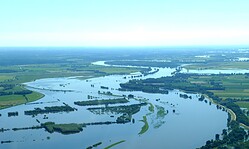 Der geregelte Fluss: Was machen die Buhnen an der Elbe? - Bootstour auf der Elbe mit Dr. Meike Kleinwächter vom BUND-Auenzentrum