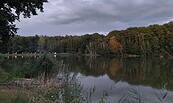 Mondscheinangeln am Dorchesee, Foto: Besucherinformation Amt Neuzelle, Lizenz: Besucherinformation Amt Neuzelle