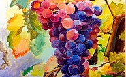 Wein 1 (Ausschnitt), Foto: Katrin Seifert, Lizenz: Katrin Seifert