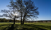 Prignitz, Foto: Markus Tiemann, Lizenz: Tourismusverband Prignitz