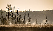 Prignitz, Foto: Markus Tiemann, Lizenz: Tourismusverband Prignitz