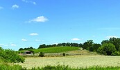 Weingut Swillus, Foto: Weingut Swillus, Lizenz: Weingut Swillus