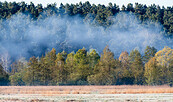 Landschaft, Foto: Markus Tiemann, Lizenz: Tourismusverband Prignitz