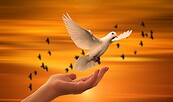 Foto: geralt, Lizenz: pixabay