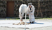 Pferdeorakel, Foto: Slawenburg gGmbH, Lizenz: Slawenburg gGmbH