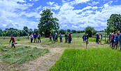 Teilnehmerin beim Mähen mit der Sense, Foto: Stefan Schwill, Lizenz: Stefan Schwill