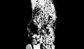 fossilized lung from Black Coal disease, Foto: Dr. Sam Spurr, Lizenz: Dr. Sam Spurr