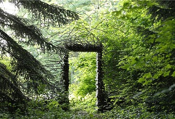 Kleine, Waldwunderbare Auszeit.
