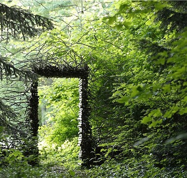 Kleine, Waldwunderbare Auszeit.