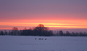 Winter, Foto: CorporateArt, Lizenz: Tourismusverband Prignitz