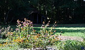 Kräutergarten NaturParkZentrum, Foto: A. Emrich, Lizenz: LFV