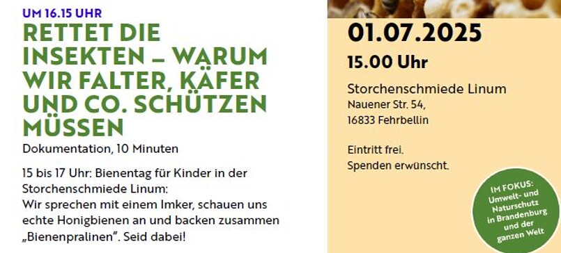 Ökofilmtour - Bienentag Storchenschmiede Linum
