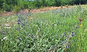 EWILPA® Teichland , Foto: Ines Kirsch, Lizenz: Amt Peitz