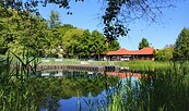 Naturbad Dippmannsdorf, Foto: Burrow, Lizenz: Burrow