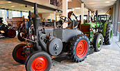 Musik im Museum, Foto: Jeannine Schneider, Lizenz: Barnim Panorama