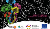 Mode aus Pilzen, Foto: Jeannine Schneider, Lizenz: Barnim Panorama