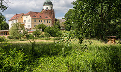Naturschutztage an der Elbe