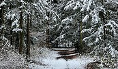 Winter in Perleberg, Foto: Jacqueline Fuhrmann, Lizenz: Tourismusverband Prignitz