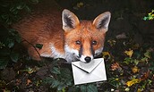 wer-erben-will, Foto: wirestock, Paul Wagner, Lizenz: TheaterLoge Luckau
