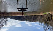 Dorchesee, Foto: Besucherinformation Amt Neuzelle