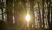 Herbststimmung, Foto: Anton Lehnig, Lizenz: Naturschutzfonds Brandenburg