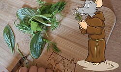 Kleine Klosterüche - Sommerferienworkshop im Museum