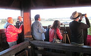 Auf dem Kranichturm, Foto: Ulf Bollack, Lizenz: Naturschutzfonds Bbg.
