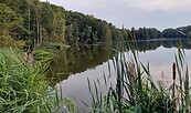 Schwerzko Dorchesee, Foto: Besucherinformation Amt Neuzelle, Lizenz: Besucherinformation Amt Neuzelle