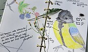 Nature Art, Foto: Christina Lembcke, Lizenz: Christina Lembcke, NABU Brandenburg