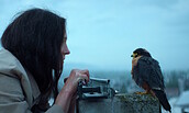 Open-Air-Kino: Chaos und Stille, Foto: Julian Krubasik