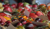 Tomatenvielfalt 2024, Foto: Stiftung WaldWelten, Lizenz: Stiftung WaldWelten