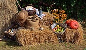 Erntefest, Foto: Pixabay, Lizenz: Pixabay